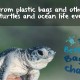 World Oceans Day is coming!