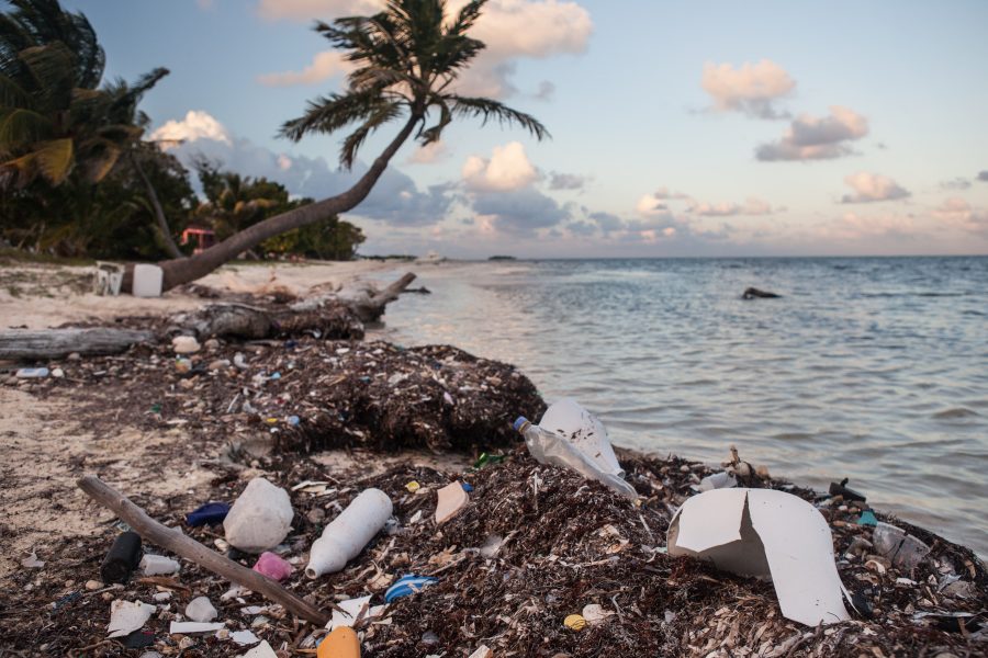 The price we pay for plastic: Saving the ocean from one of the world’s worst addictions