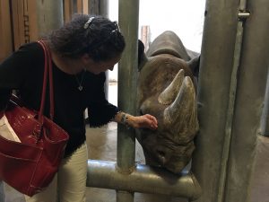 Patti touches a rhino for the first time!