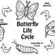 LitLinks: Cycles in Life Science and Language Arts