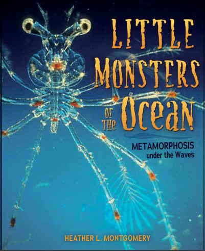 Little Monsters of the Ocean cover
