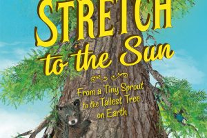 Stretch to the Sun cover