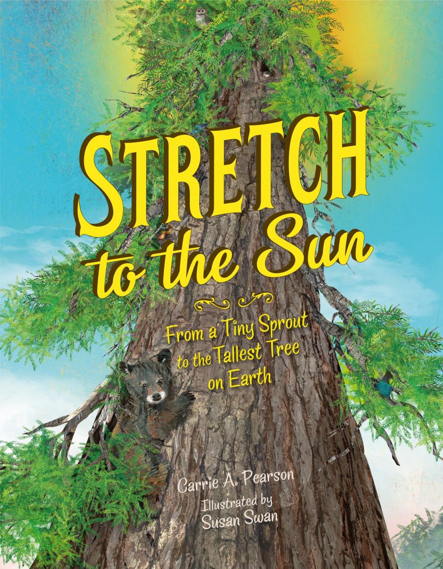 Stretch to the Sun cover