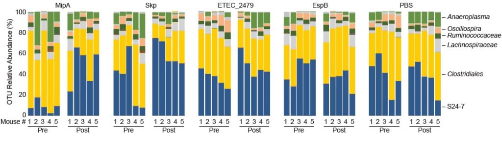 Mouse Microbiota Maps