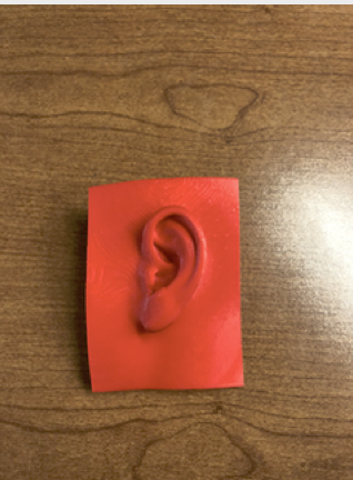 3D-printed ear