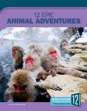 AnimalAdventures cover