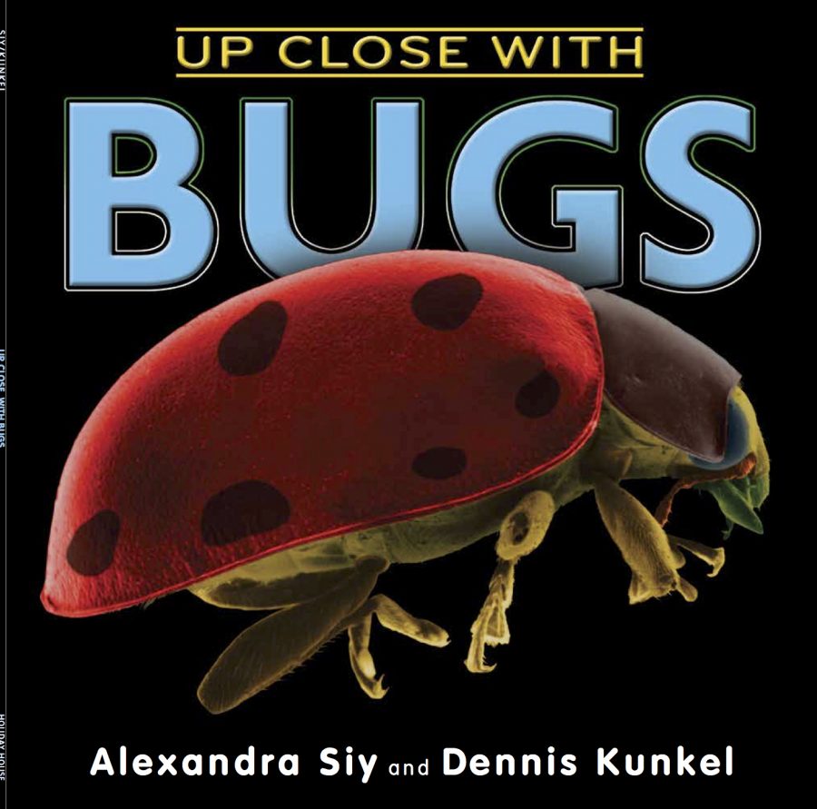 BUGS up close cover copy square