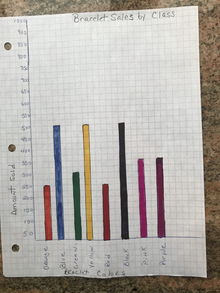 Bracelet color graph for NEEMA math lesson
