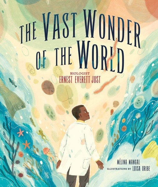 Vast Wonder of the World cover