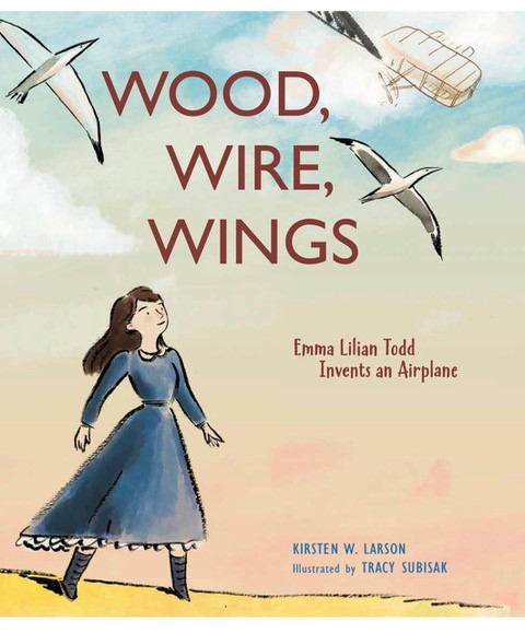 Wood, Wire, WIngs cover -- airplane