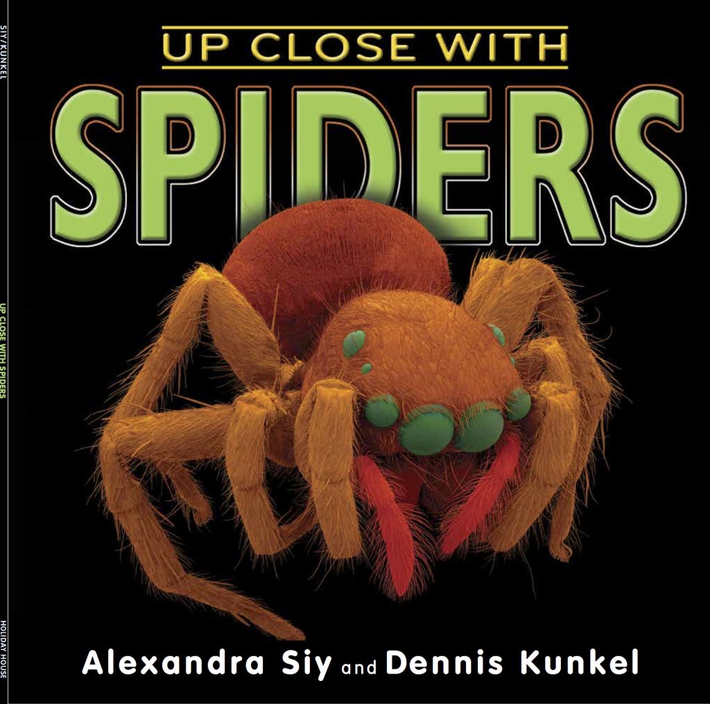 spiders up close cover copy square