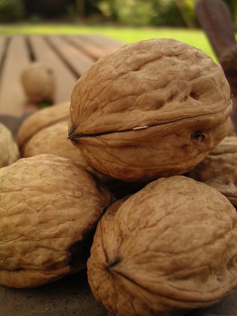 walnuts - food