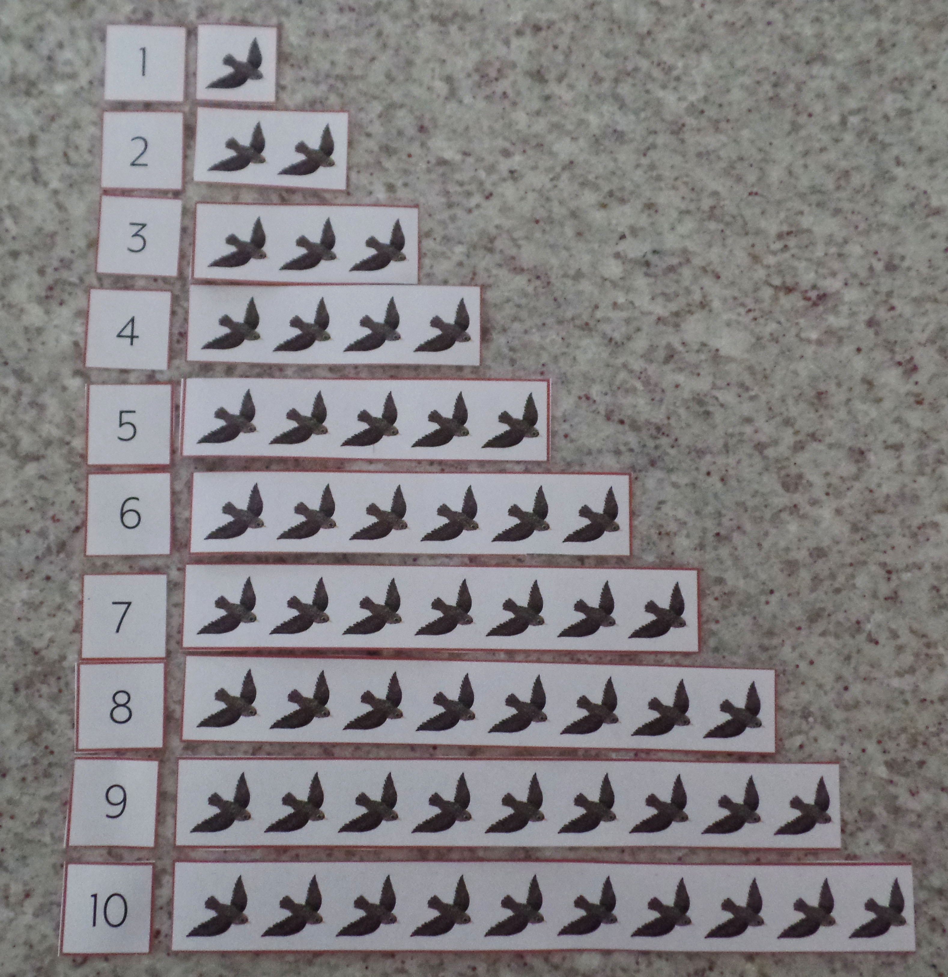 Number sequencing - murmuration