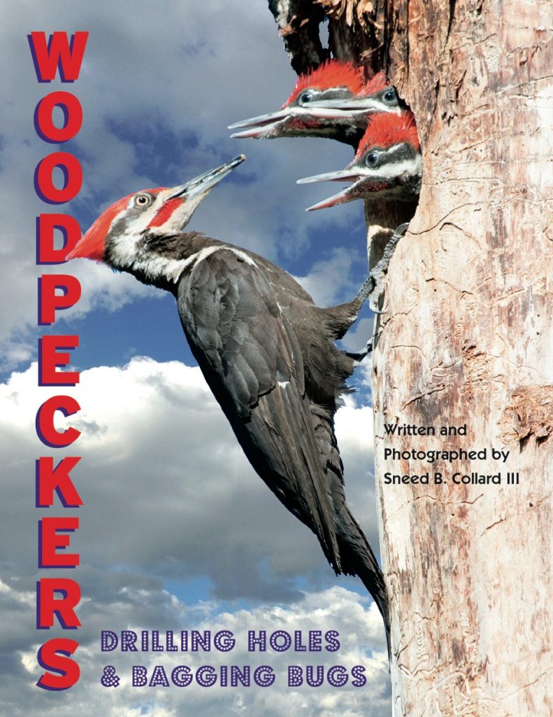 Woodpeckers cover -- birds