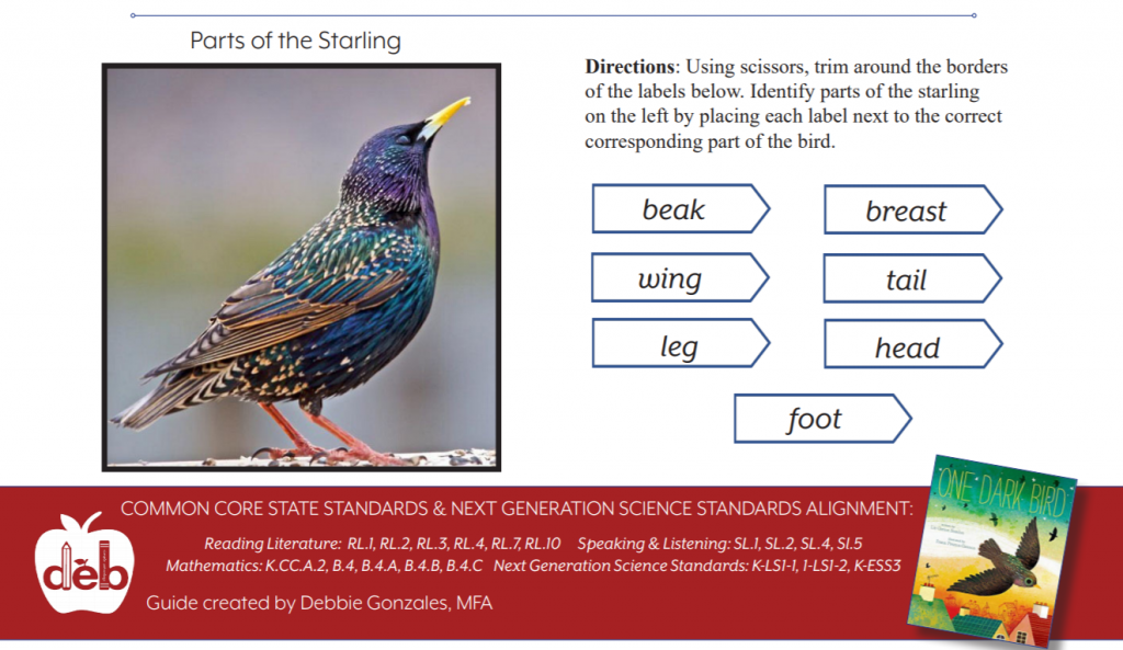 One Dark Bird activity - murmuration