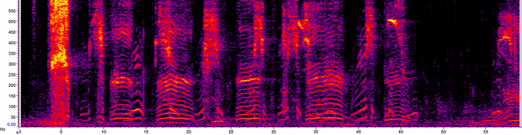 small-FromBox_dzan_20160406_025046_roars-rmbles-aoogas_hot