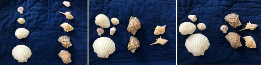 Shell sorting multiple small