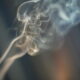 LitLinks: Can smoke be useful? A research challenge for students