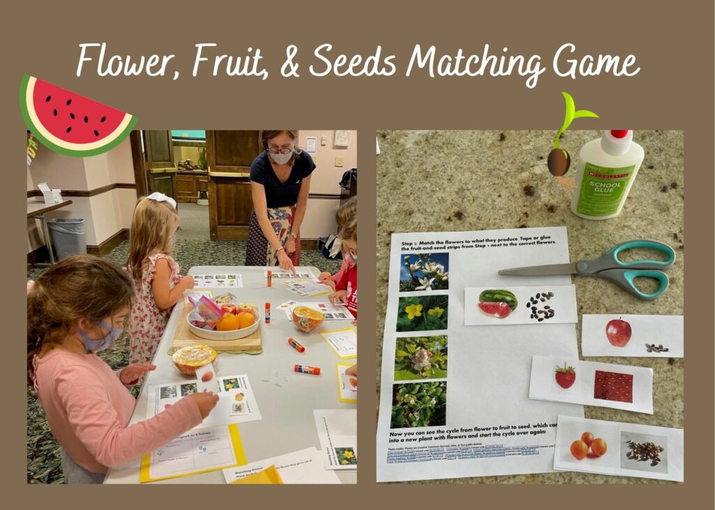 Canva graphic flower fruit seeds game