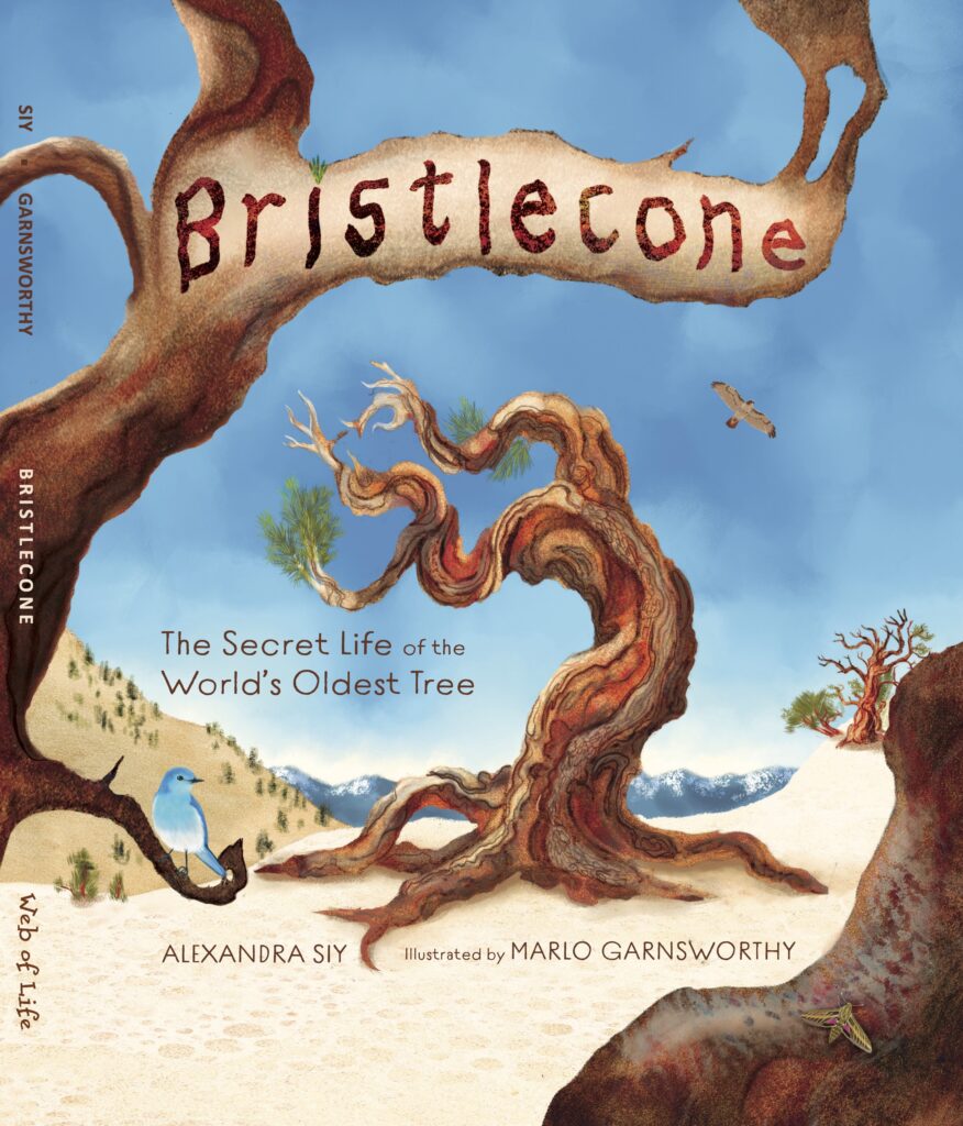 BRISTLECONE COVER FRONT