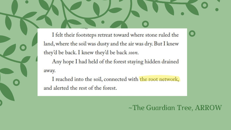 Arrow-root network quote #1