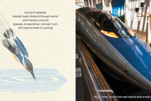 Kingfisher inspires bullet train design