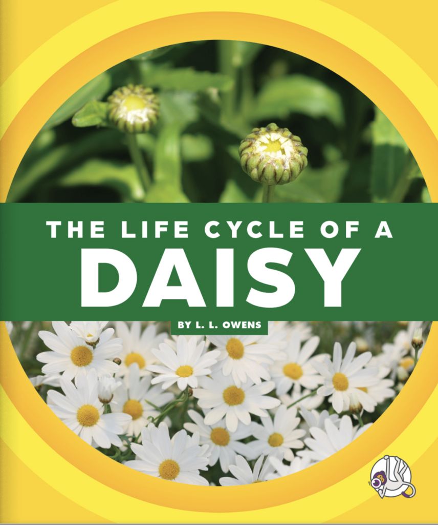 The Life Cycle of a Daisy_cover_LisaLOwens