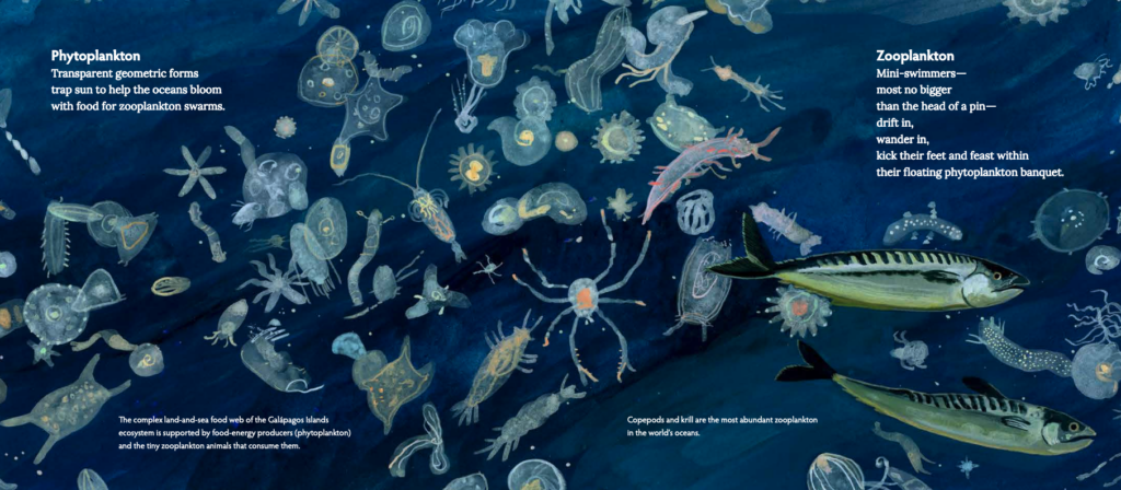 Galápagos-phytoplankton-and-zooplankton-spread