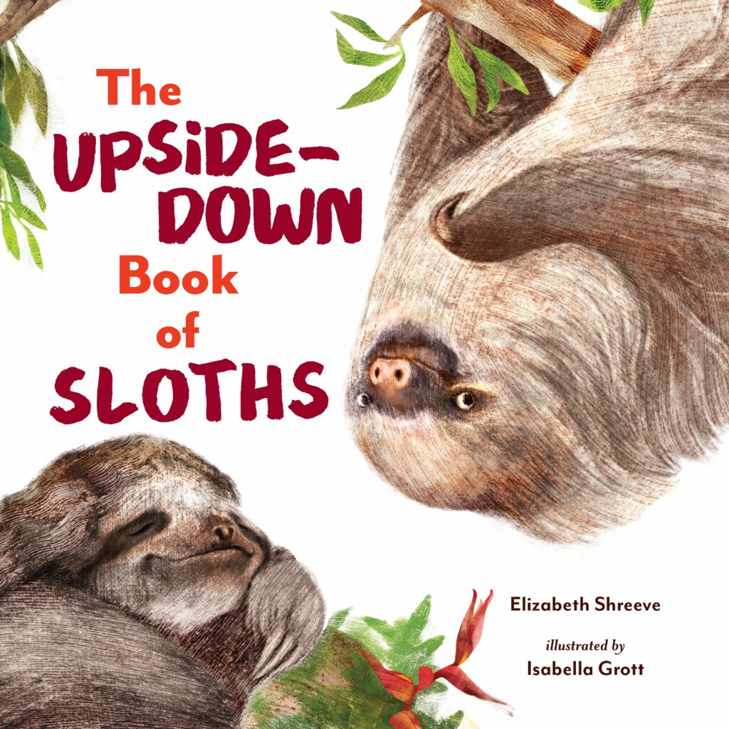 The-Upside-Down-Book-of-Sloths-cover