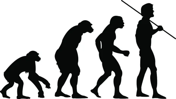 Evolution-image-point-of-view-lesson