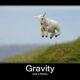 LitLinks: How to use gravity to teach horizontal and vertical motion
