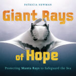 Giant-Rays-of-Hope-cover