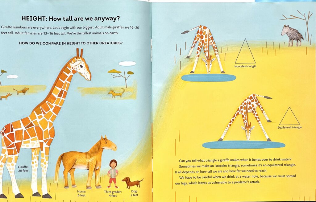 Giraffe-math-height