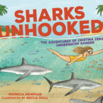 Sharks-Unhooked-cover