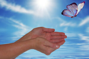 "Butterfly-flying-free-from-cupped-hands"-by-Beverly-&-Pack-is-licensed-under-CC-BY-NC-ND-2.0.