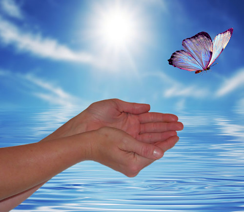 "Butterfly-flying-free-from-cupped-hands"-by-Beverly-&-Pack-is-licensed-under-CC-BY-NC-ND-2.0.