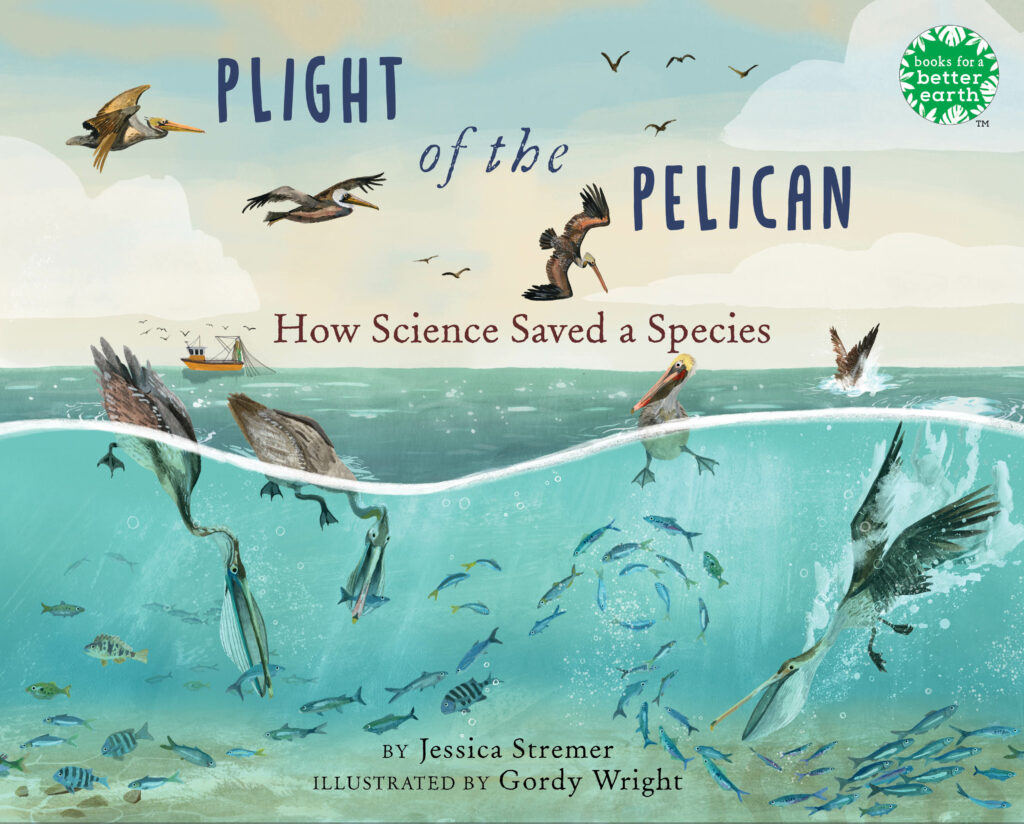 Pelicans-cover