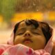 LitLinks: How to decode the mysteries of sleep with sea animals
