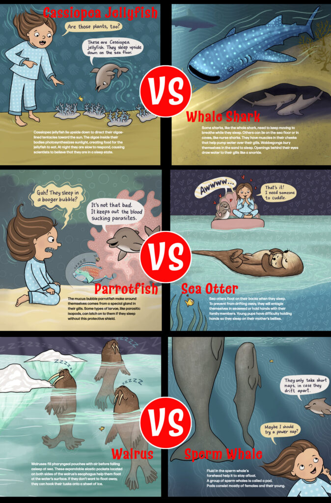 Animal-sleep-comparisons