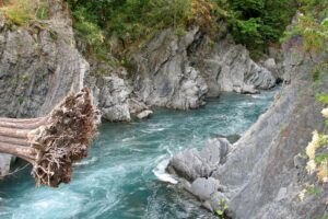 "Elwha-River-at-Goblins-Gate1"-by-Elwhajeff /-Jefftaylor@xwb.com-(talk)-is-licensed-under-CC-BY-SA-3.0.