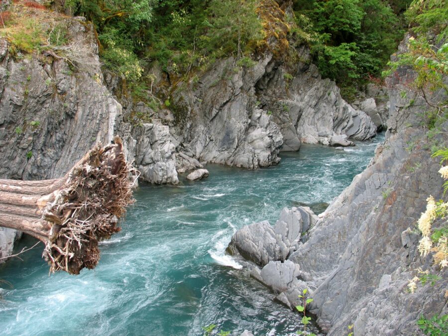 "Elwha-River-at-Goblins-Gate1"-by-Elwhajeff /-Jefftaylor@xwb.com-(talk)-is-licensed-under-CC-BY-SA-3.0.