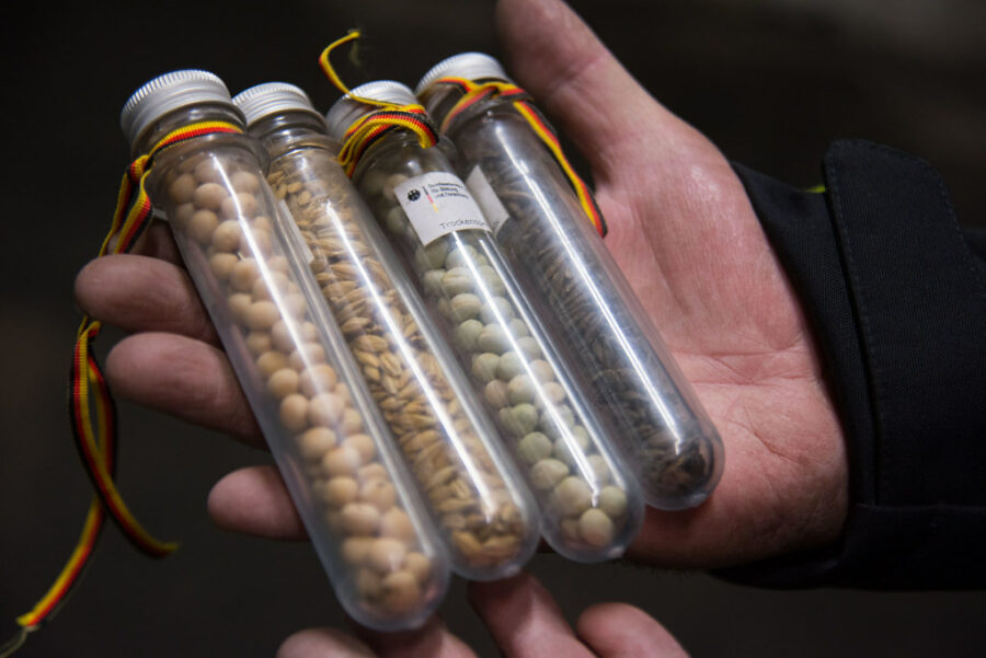 "Some-decades-ago,-seeds-in-gene-bank-collections-were-conserved-in-glass- tubes.-These-with-screw-cap-have-been-used-at-IPK-gene-bank-in-Germany."-by-Landbruks--og-matdepartementet-is-licensed-under-CC-BY-ND-2.0.