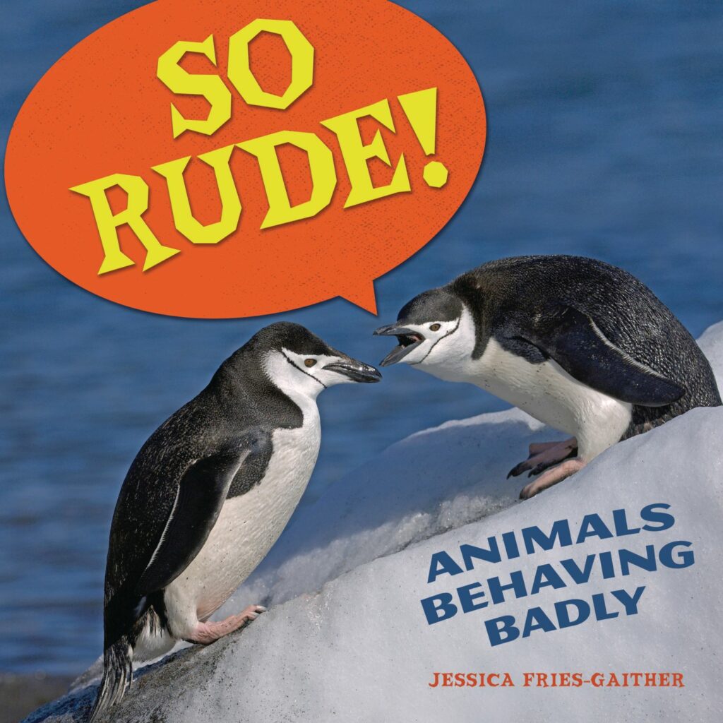 So-Rude-cover
