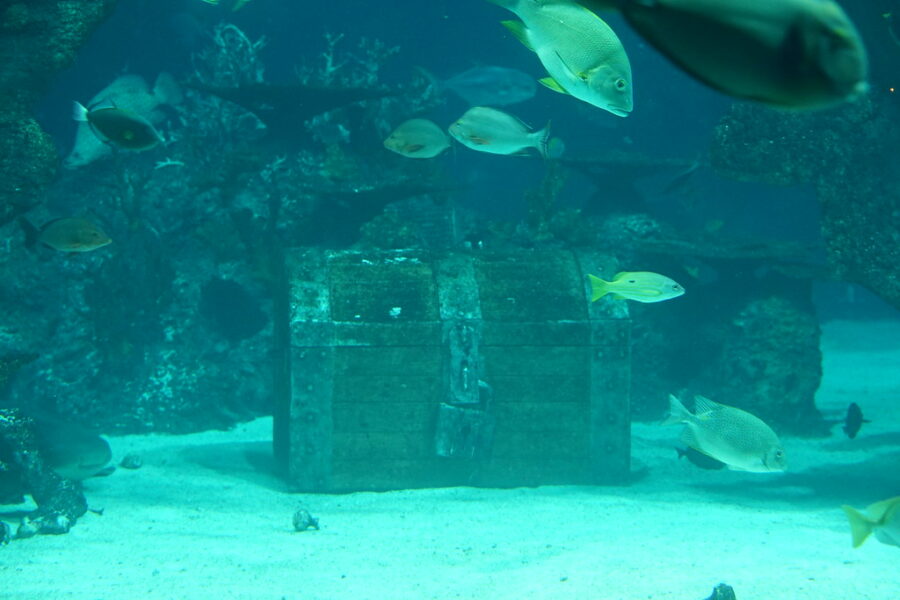 "Underwater-treasure-chest"-by-benhosg-is-licensed-under-CC-BY-NC-ND-2.0.