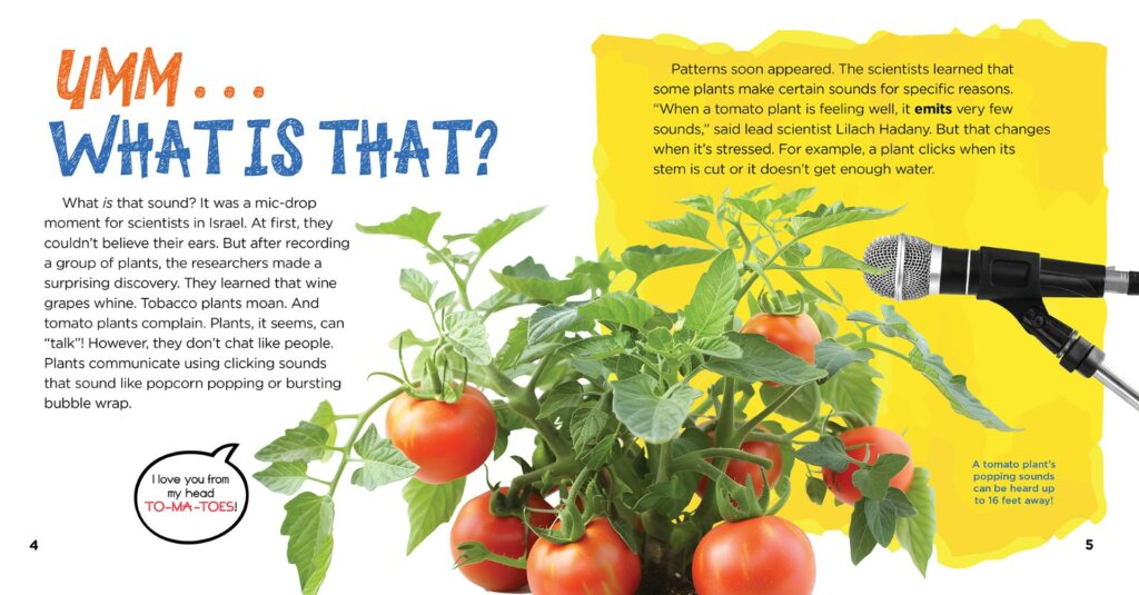 Interior-spread-from-Talking-Plants-What-is-that?