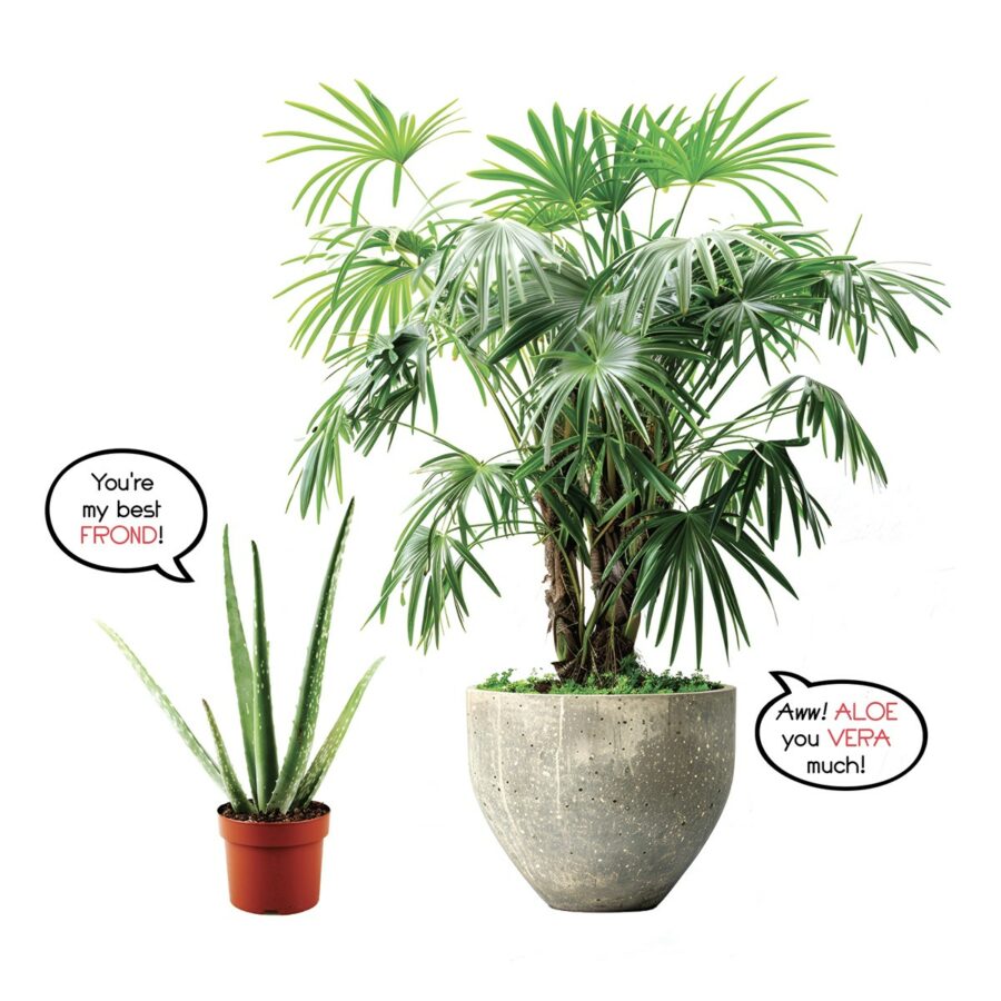 From-Huh?-Talking-Plants-by-Joyce-Markovics