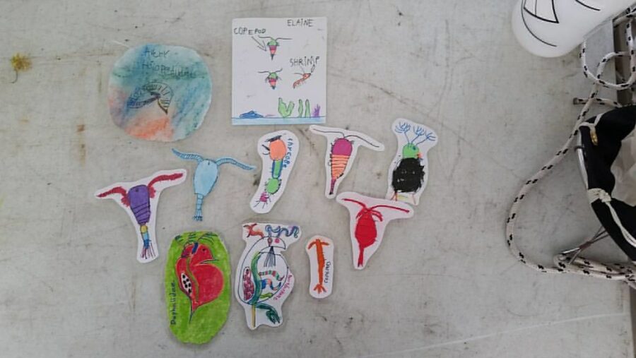 "some-zooplankton-creations-from-today's-workshop-with-@kiac-Yukon-Riverside-Arts-Festival.-#beingadrift"-by-meganleigh-is-licensed-under-CC-BY-SA-2.0.