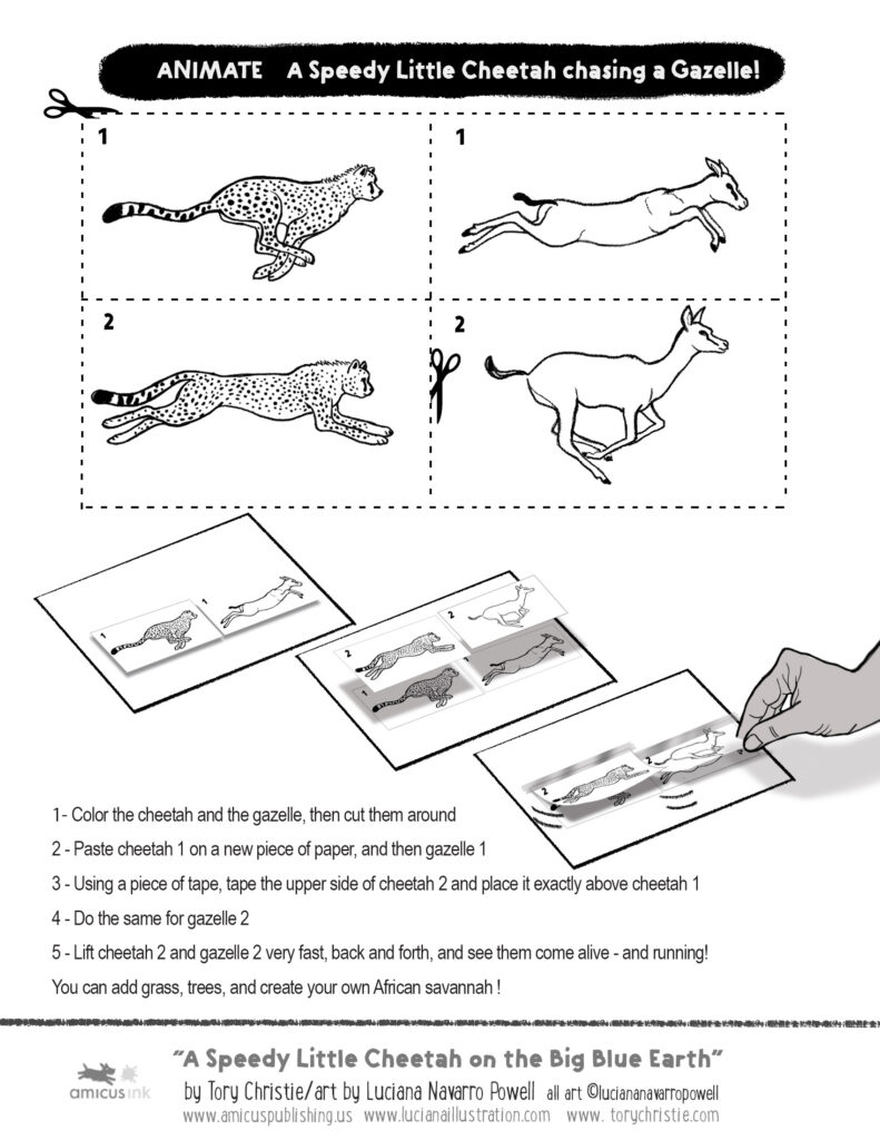 animate-handout