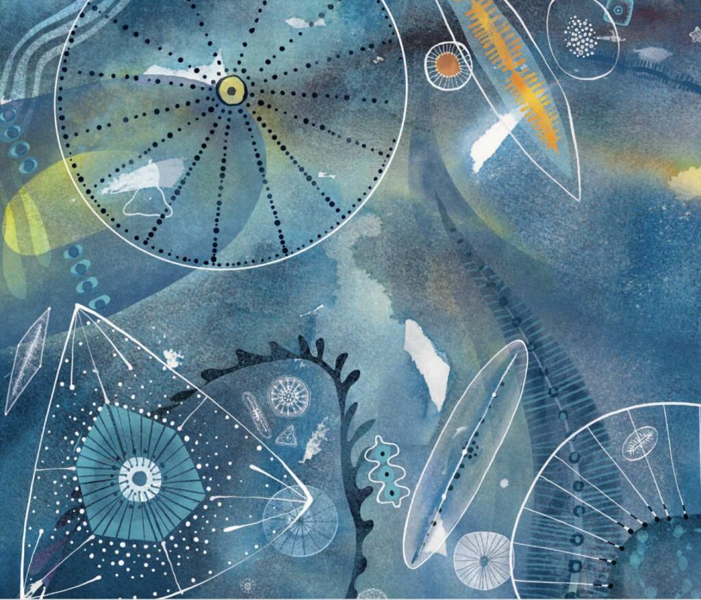 Diatom-art-by-Susan-Reagan