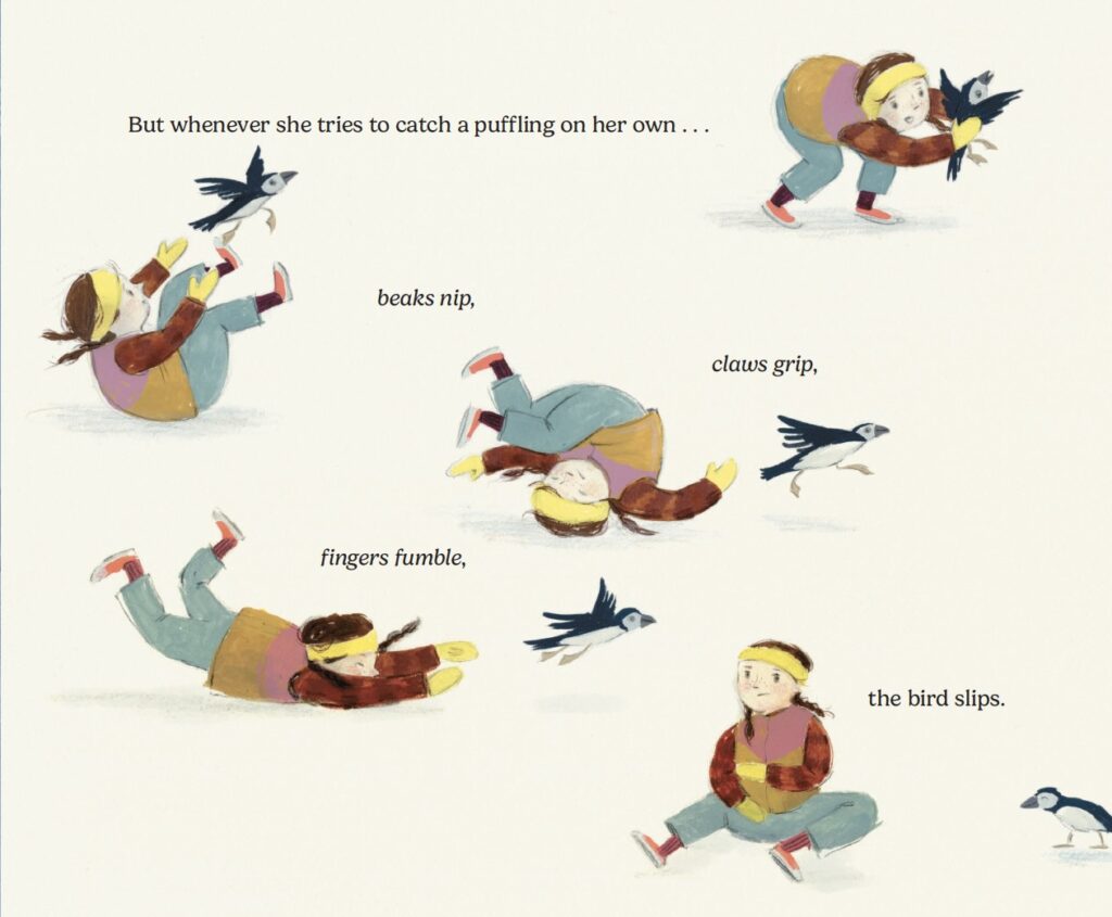 Freya-trying-to-catch-a-puffling